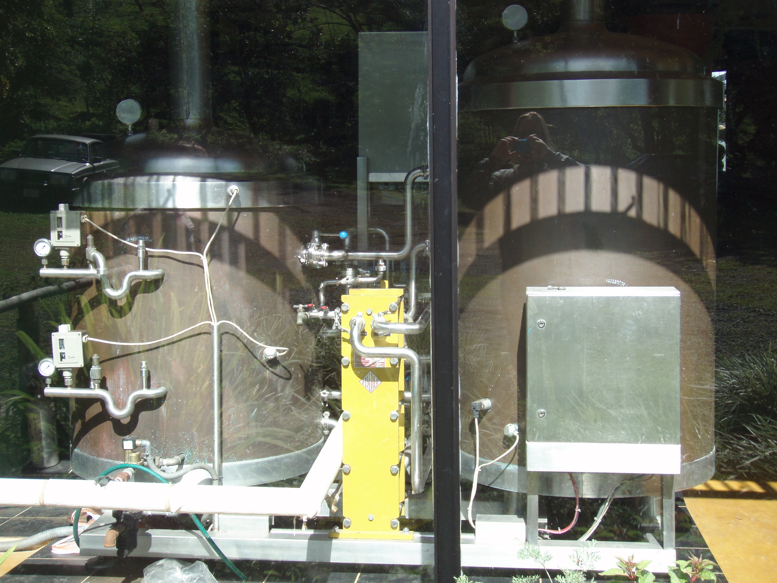 Another iguana walking around