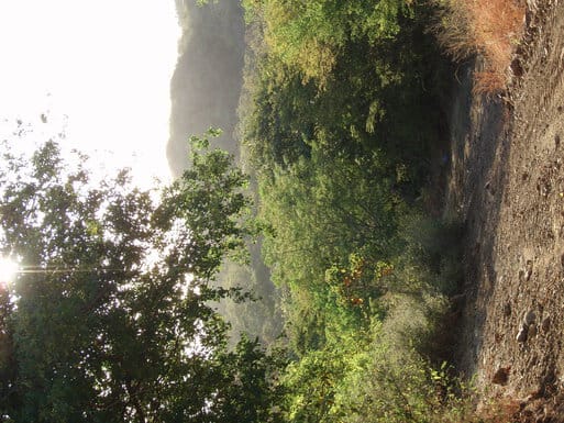 Nice views from dirt road