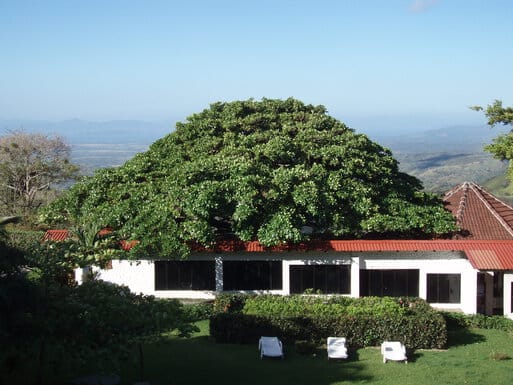 SIgn in middle of nowhere..