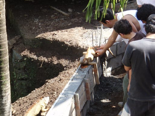 Locals with iguana