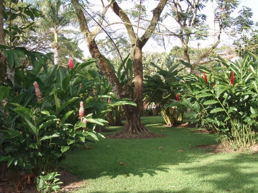 Tilijari Resort grounds