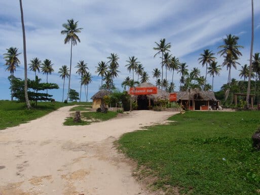 Hard-packed dirt road