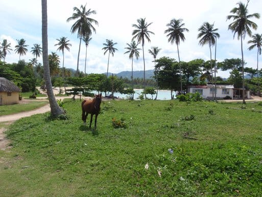 Hard-packed dirt road