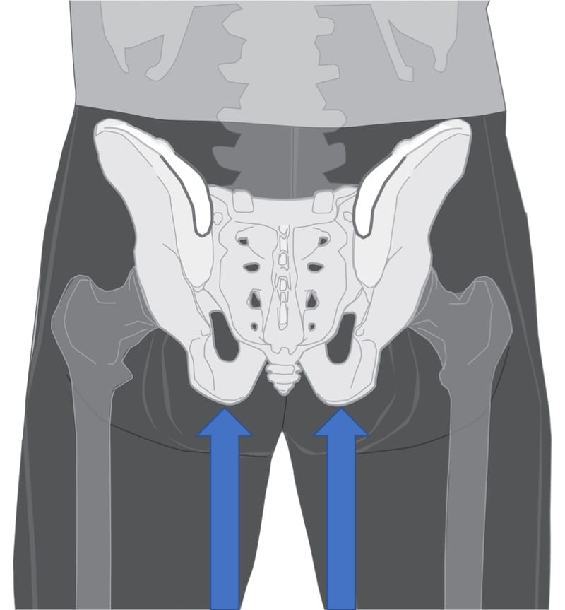 Example Spoke Calculator